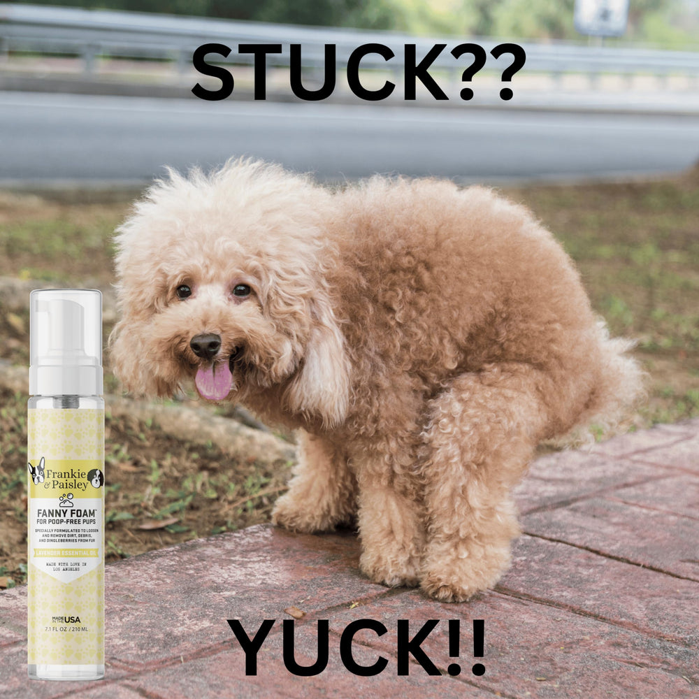 Frankie & Paisley no-rinse travel kit enabling quick on-the-go cleanups.