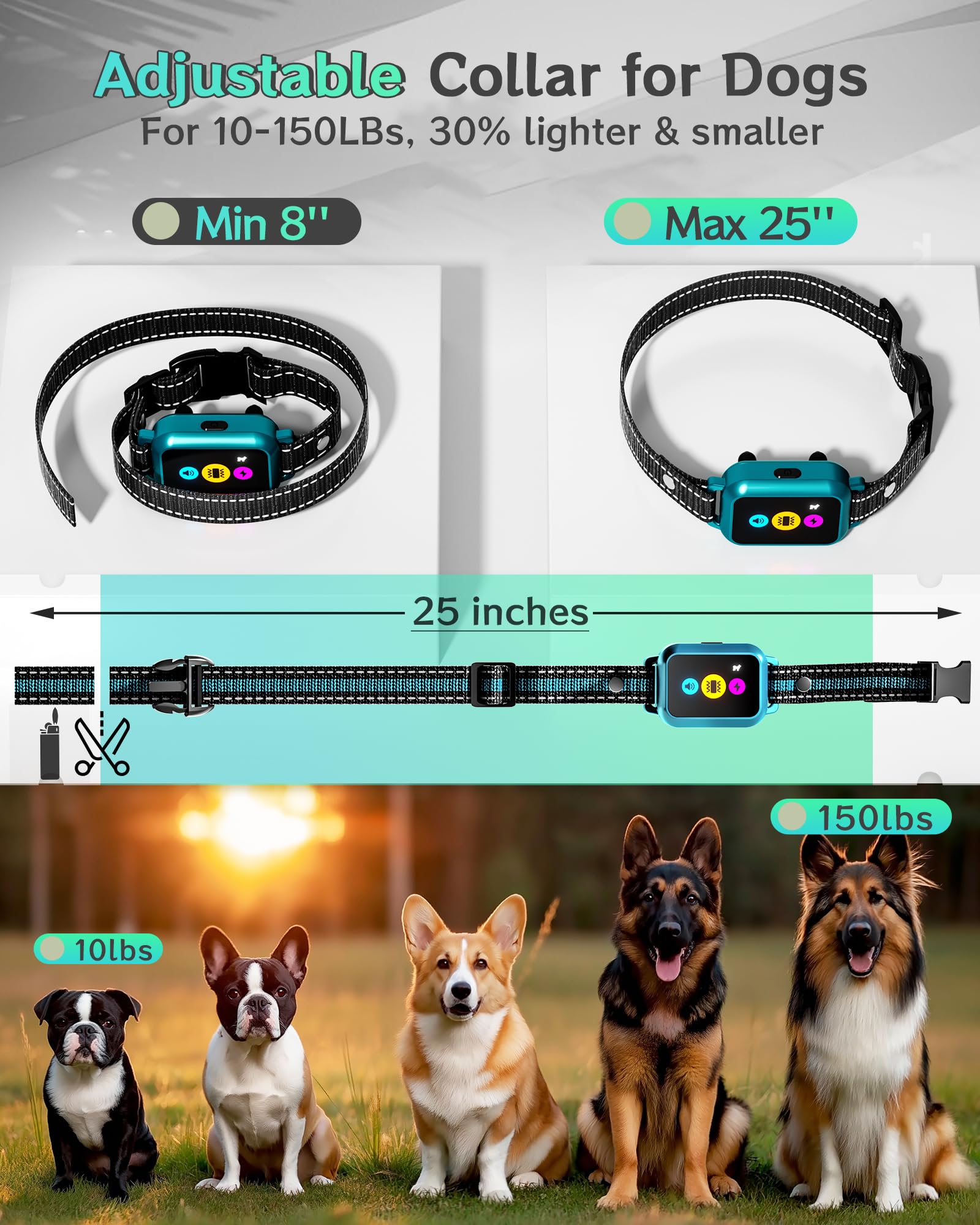 Frayo dog collar IP67 waterproof design survives rain and rugged outdoor use.