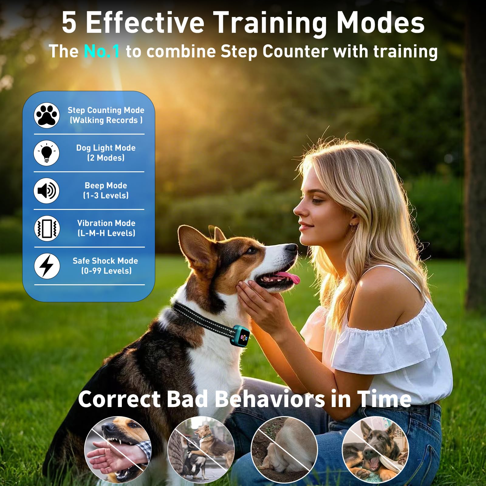 Frayo dog collar pedometer activity tracking demonstrates exercise monitoring.