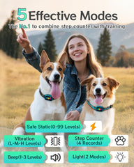 Frayo dog collar pedometer tracking helps monitor daily movement and energy use.