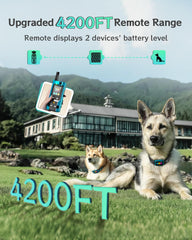 Frayo dog collar two-dog training setup supports coordinated cues across pets.