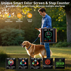 Frayo dual-receiver setup enabling training two dogs with one remote