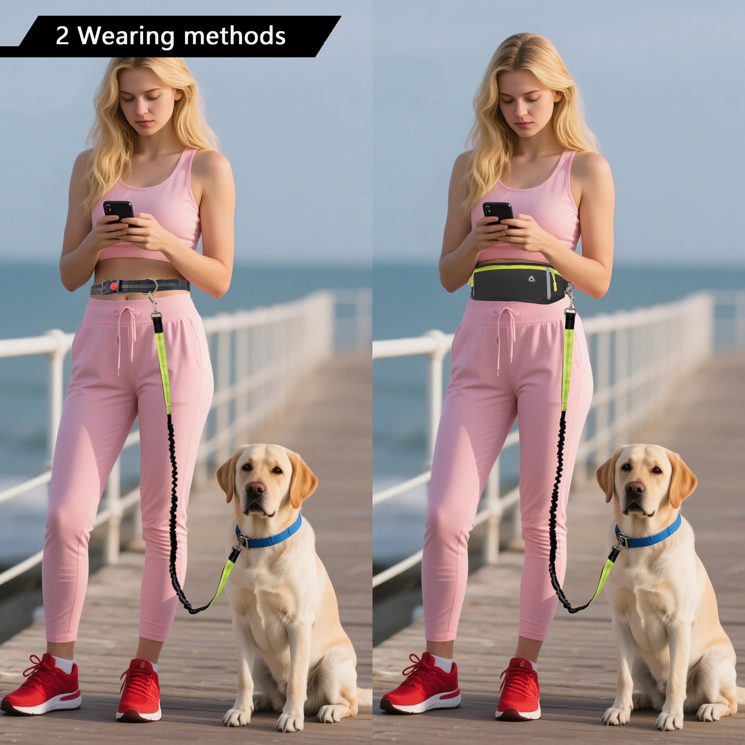 Frayot cushioned bungee leash softens pulls for smoother strolls.