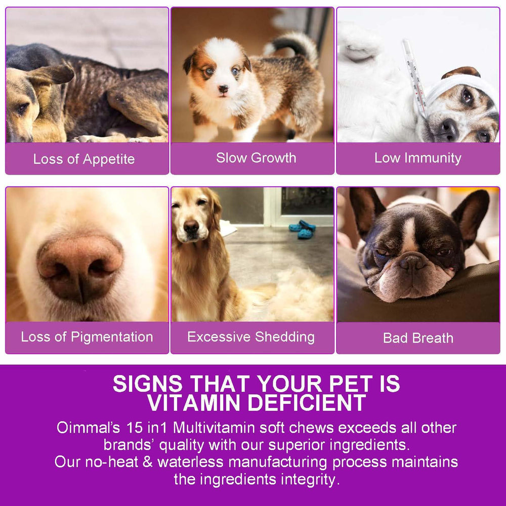 FRDUGA active-dog health-boost image captures energetic pet benefiting from daily vitamins.