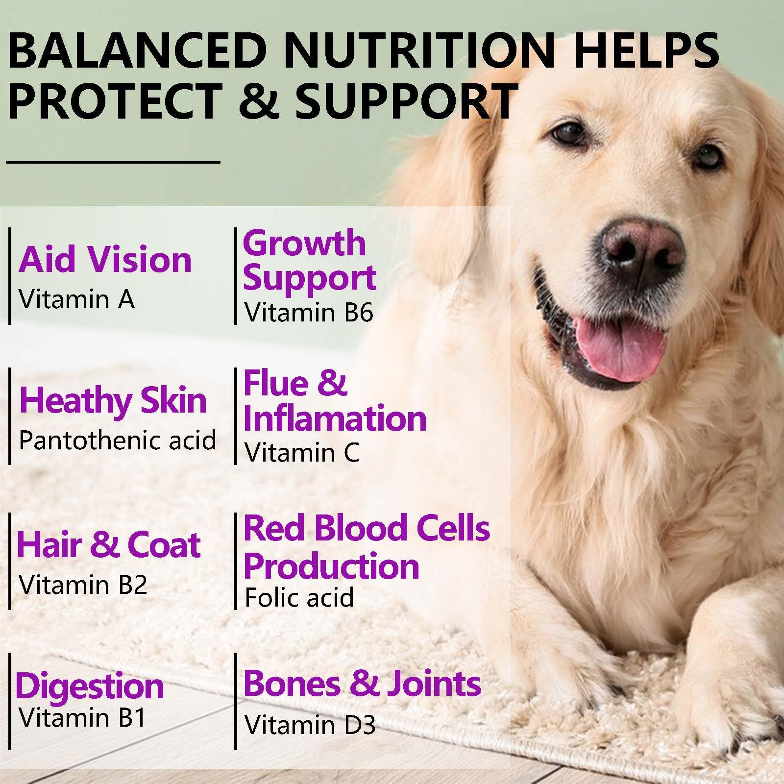 FRDUGA puppy-senior-friendly chews illustrate inclusive use across ages and sizes.