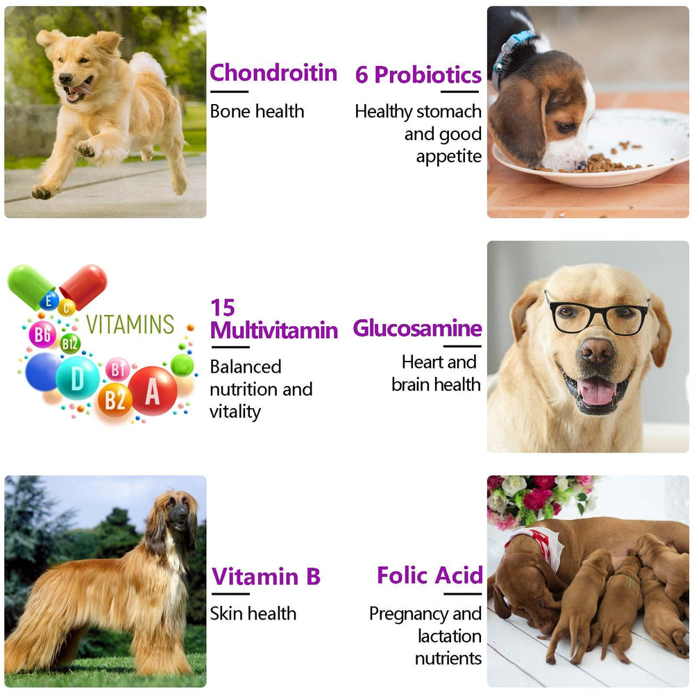 FRDUGA skin coat vitality dog chew features shiny coat and healthy skin benefits.