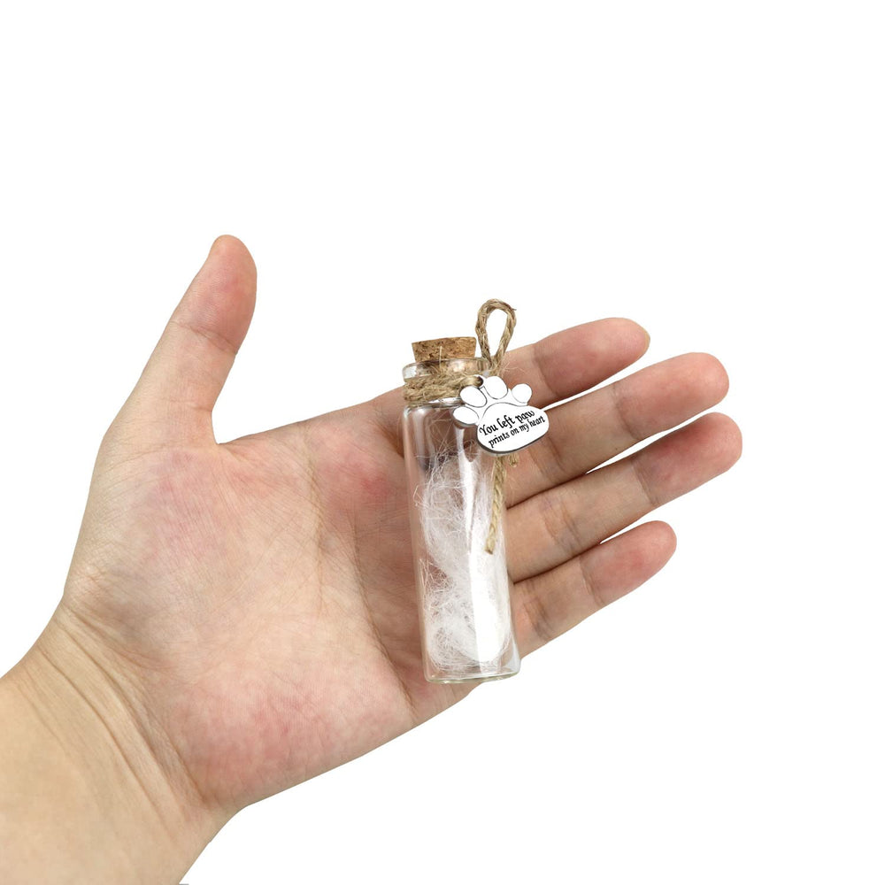 Free-Space pet-loss gift ready on a bookcase or desktop for remembrance.