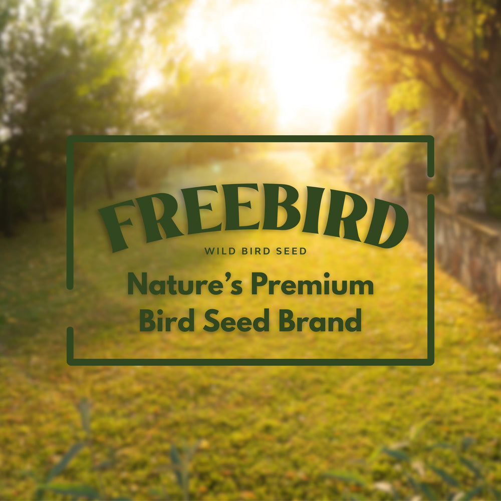 FREEBIRD Finch and Cardinal seed blend — nourishing mix for year-round backyard visitors.