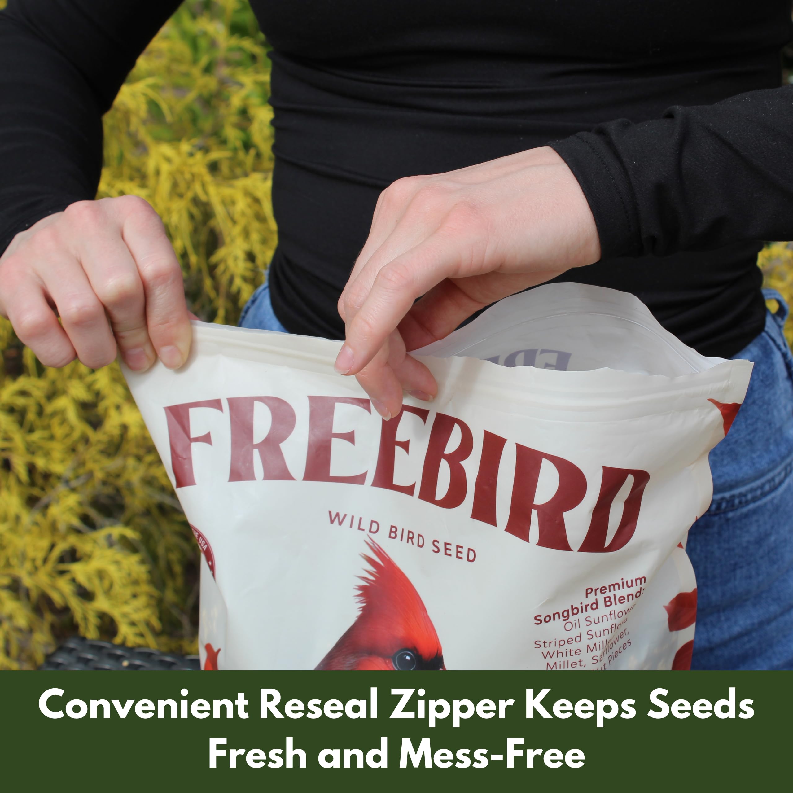 FREEBIRD Wild Bird Seed assembly mix — diverse blend attracting a wide range of songbirds.