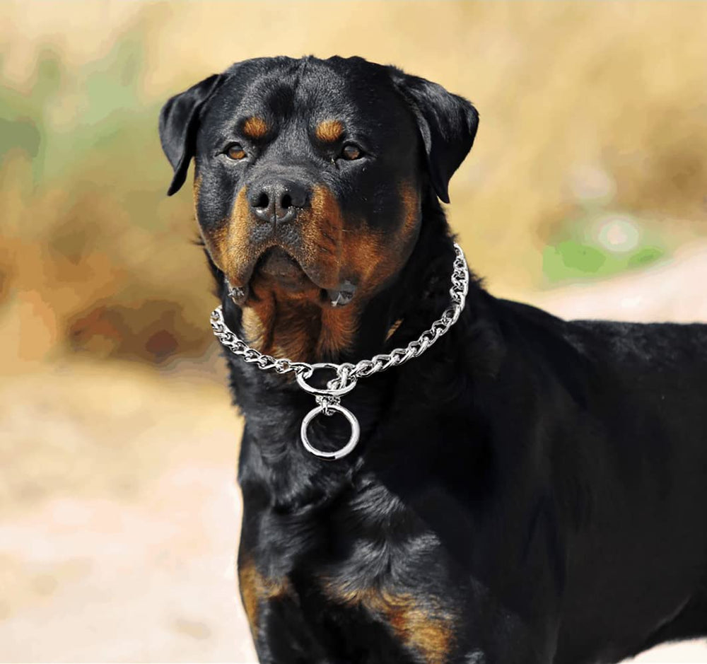 Freezx size range covers necks up to 24 inches for large dogs.
