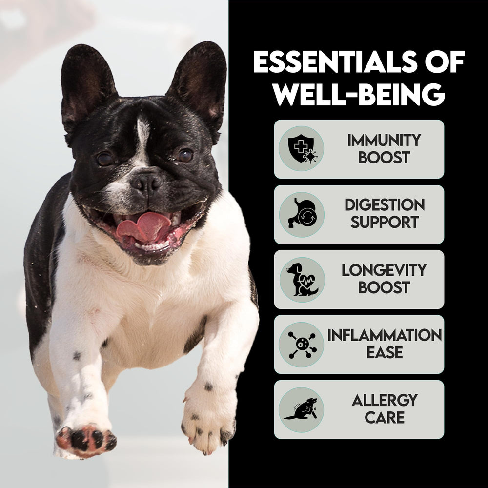 Frenchies vs Everybody powder sprinkled on meals for a shiny healthy coat