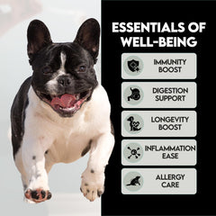 Frenchies vs Everybody powder sprinkled on meals for a shiny healthy coat