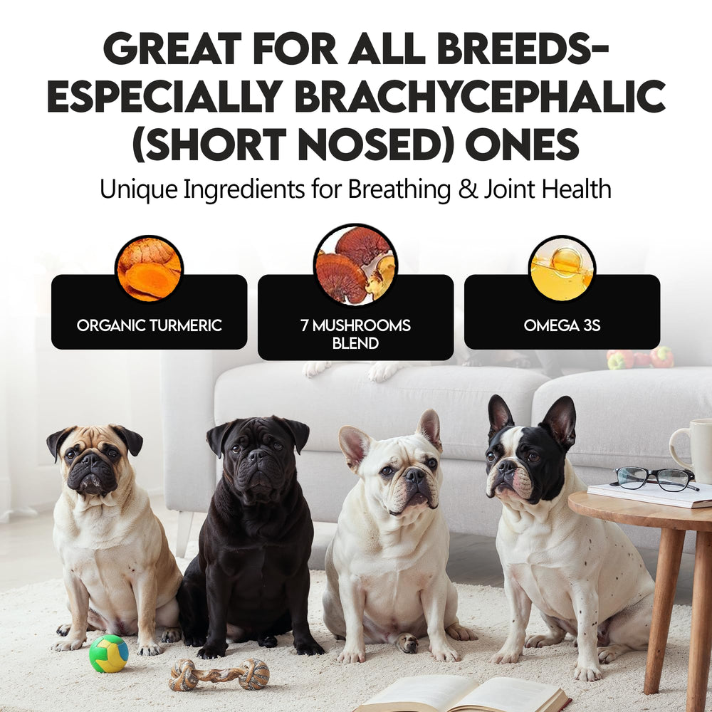 Frenchies vs Everybody digestive-health-tummy mix may aid smoother digestion