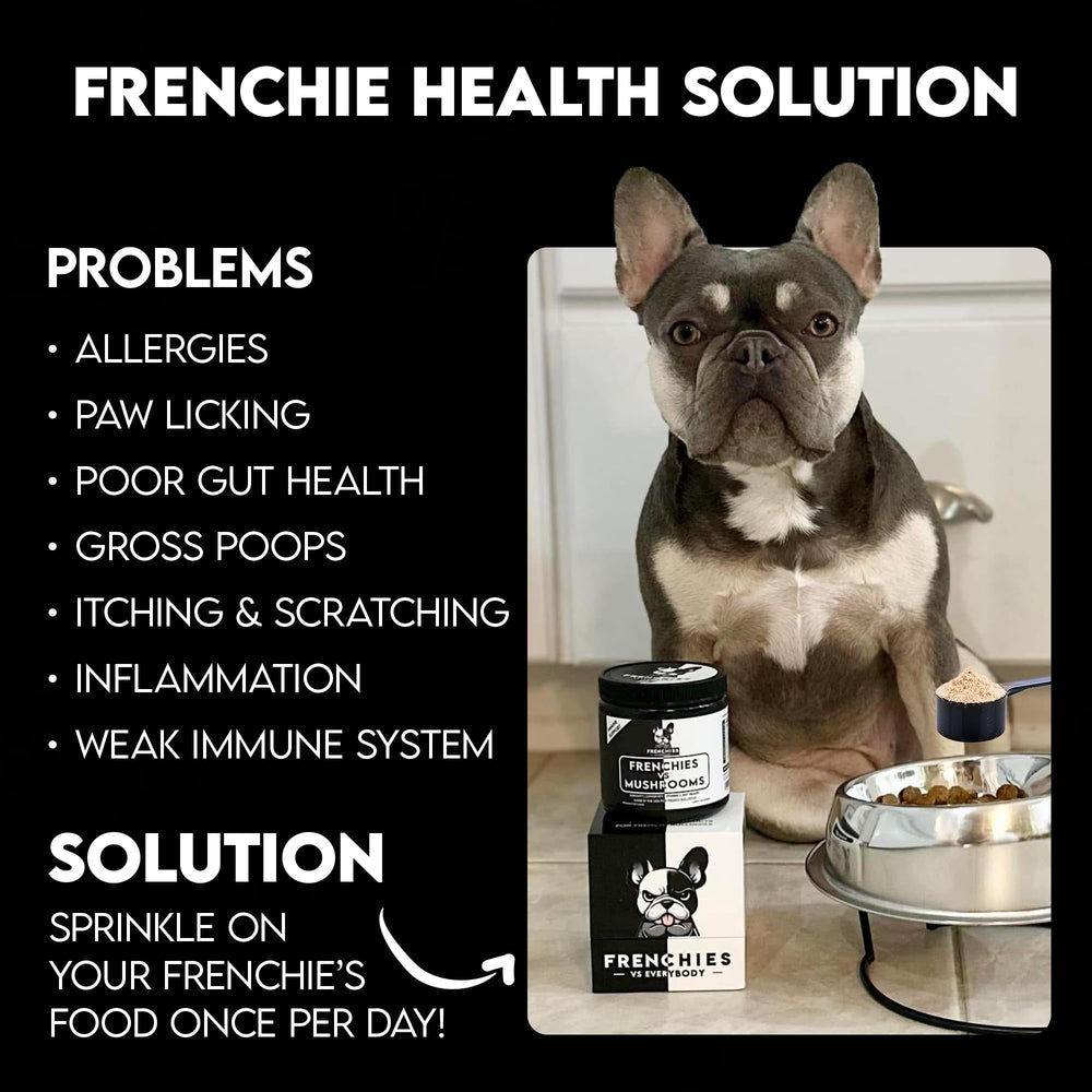 Frenchies vs Everybody dog food bowl with powder as easy meal-time topping
