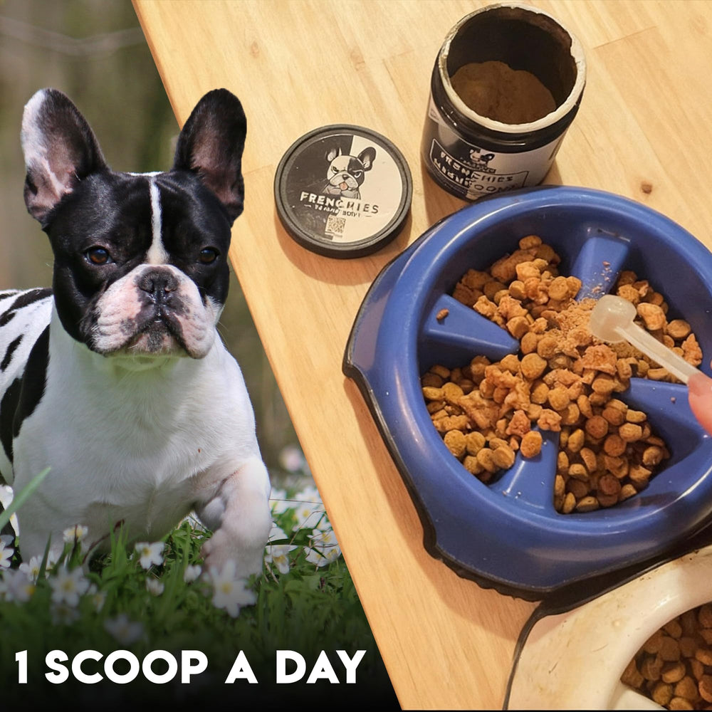 Frenchies vs Everybody organic turkey-tail powder highlights pure ingredients