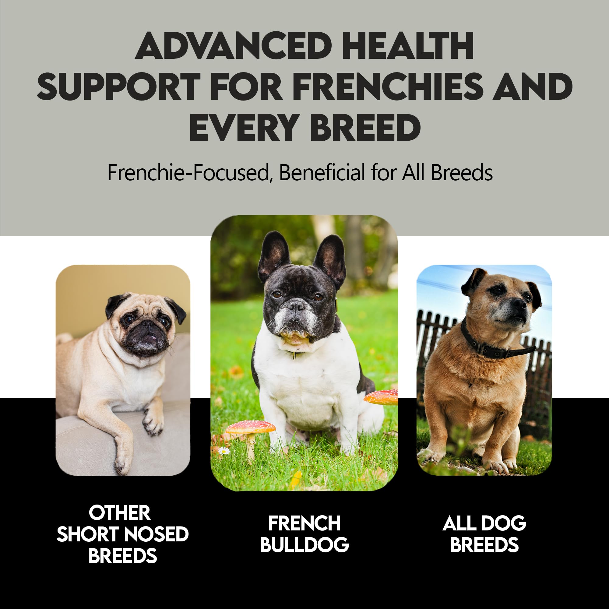 Frenchies vs Everybody picky-eater-friendly mix aids palatability and routine