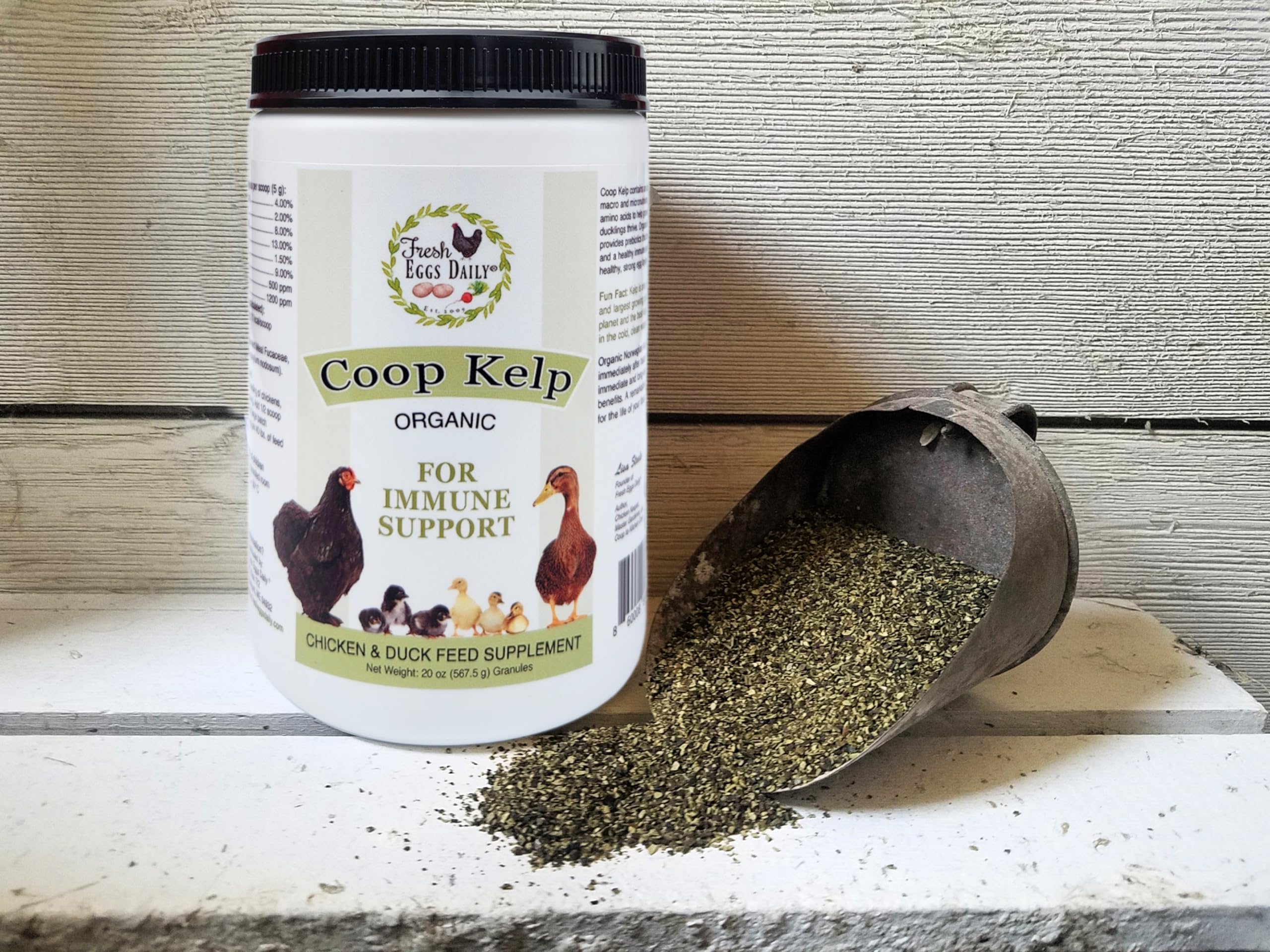 Fresh Eggs Daily organic sea kelp powder highlighting a natural mineral blend.