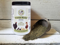 Fresh Eggs Daily organic sea kelp powder highlighting a natural mineral blend.
