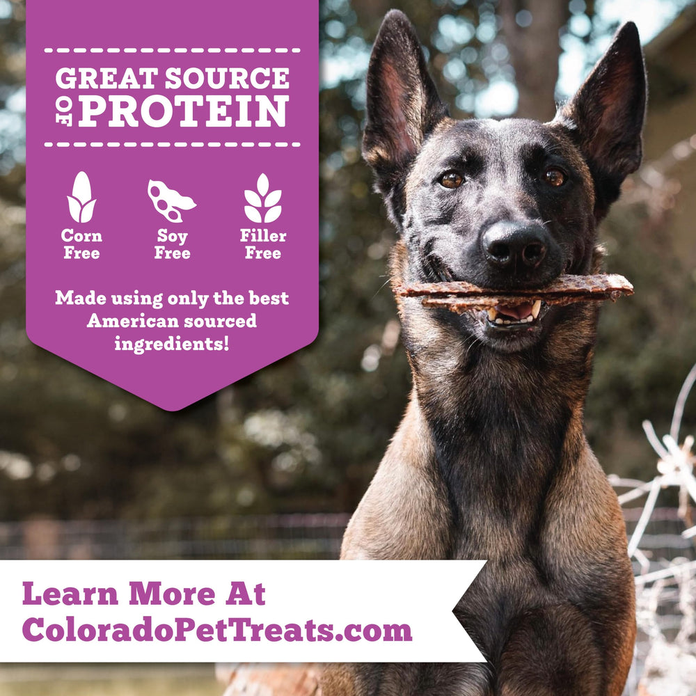 Fresh Field Bison & Apple Jerky Chips USA-made facility shot signals quality sourcing.