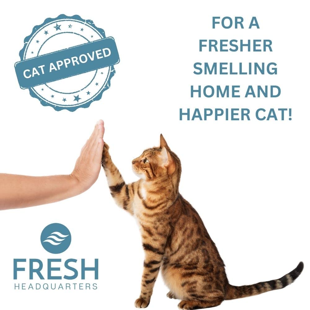 Fresh Headquarters compact-filter-unit demonstrates space-saving design