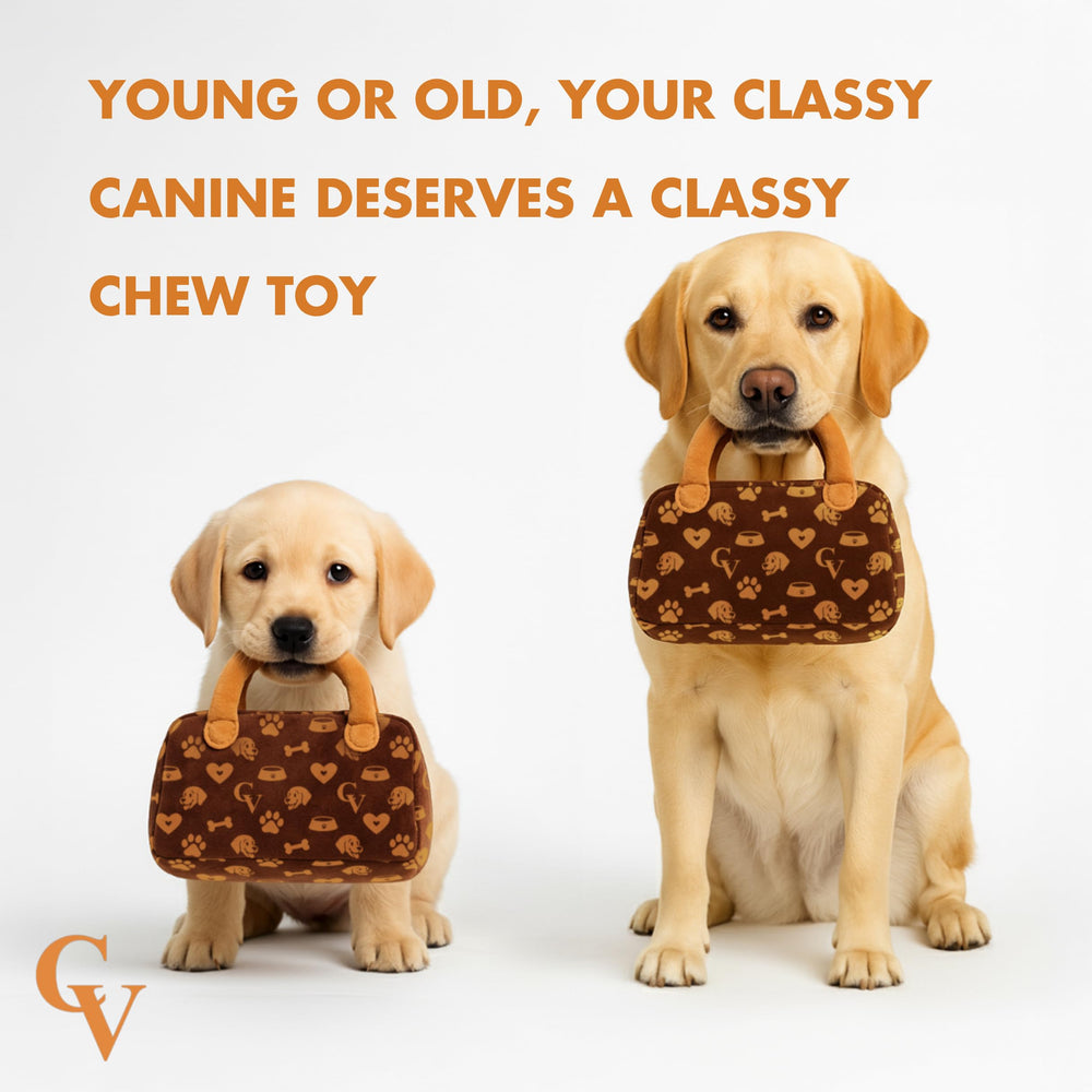 Fresh Memes ChewyVee gift-for-stylish-dogs for a unique dog owner present.