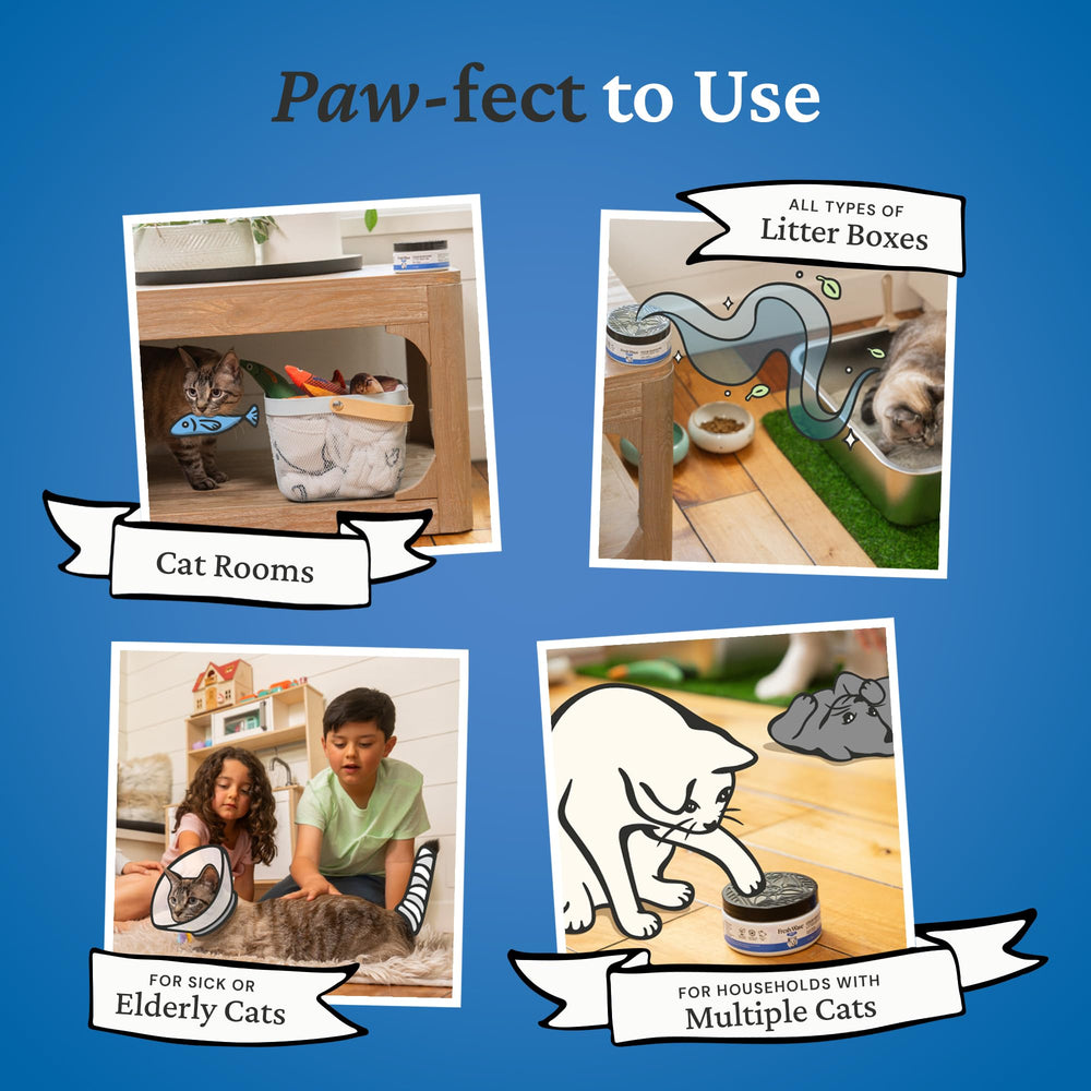 Fresh Wave gel close-up highlights plant-based ingredients tackling odors on contact.