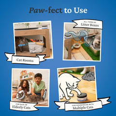 Fresh Wave gel close-up highlights plant-based ingredients tackling odors on contact.