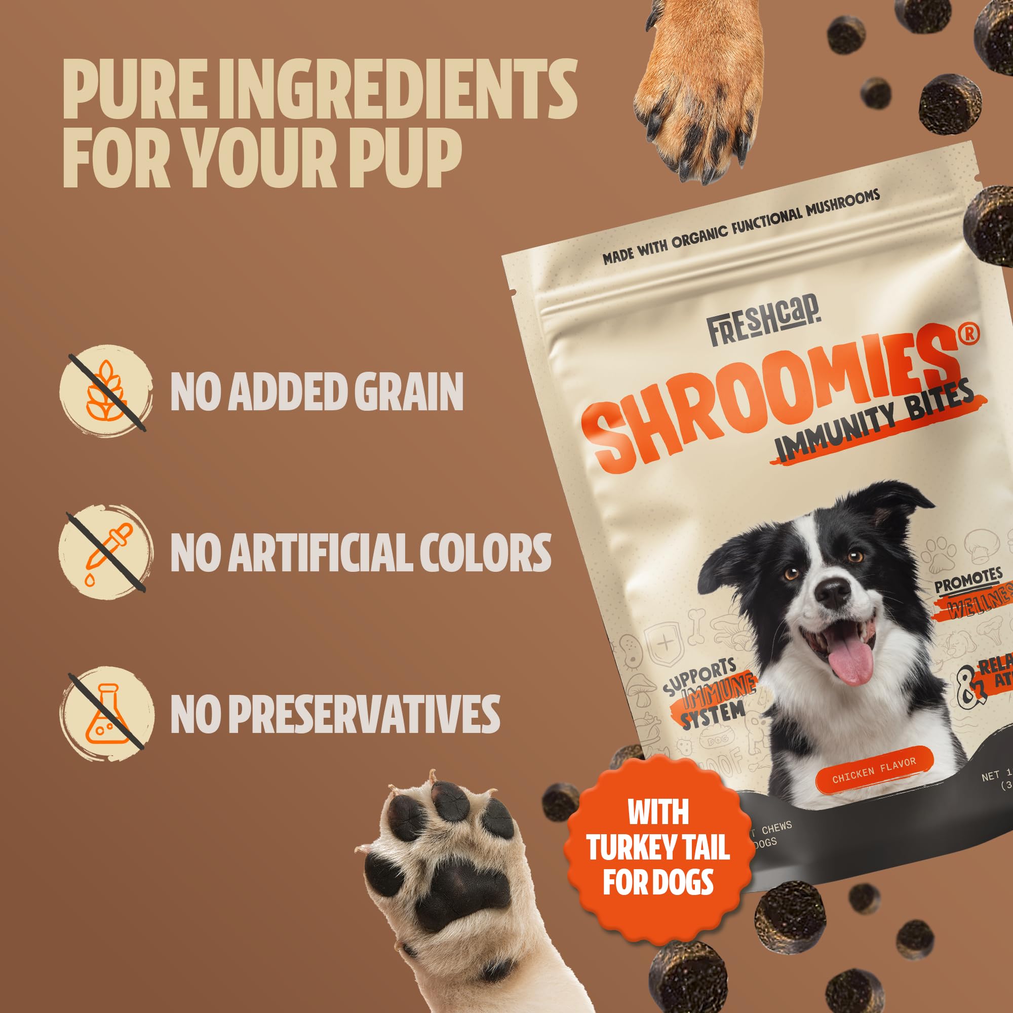 FreshCap Mushrooms Shroomies Chaga jar emphasizing immune support