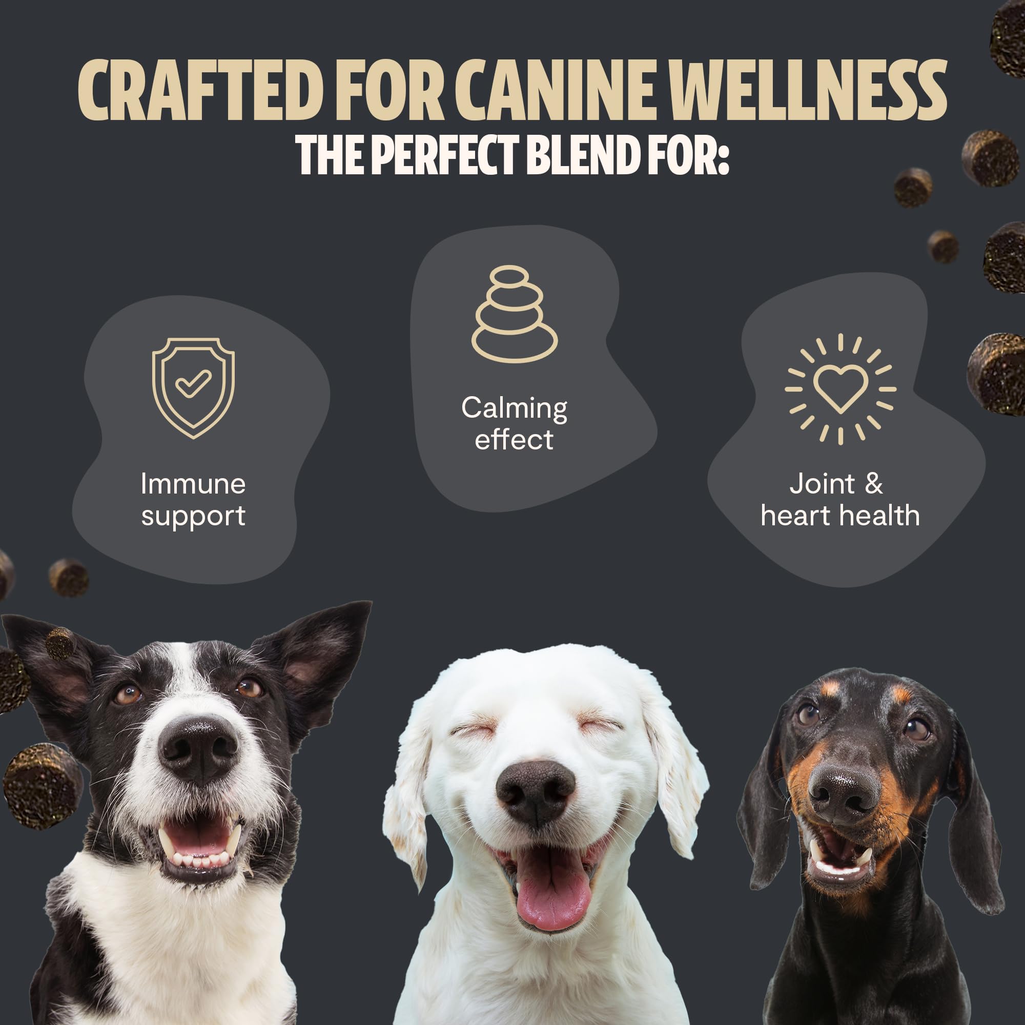 FreshCap Mushrooms Shroomies Cordyceps dog chews illustrating energy and vitality