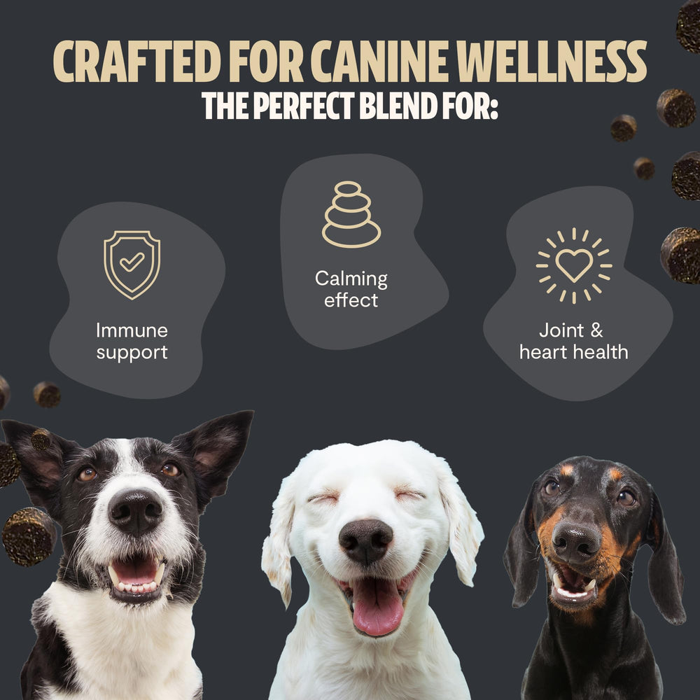 FreshCap Mushrooms Shroomies Cordyceps dog chews illustrating energy and vitality