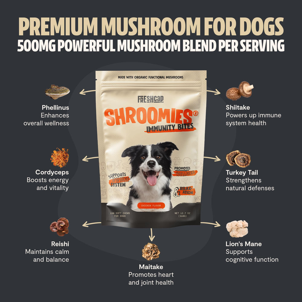 FreshCap Mushrooms Shroomies Lion's Mane dog treats close-up for calm focus