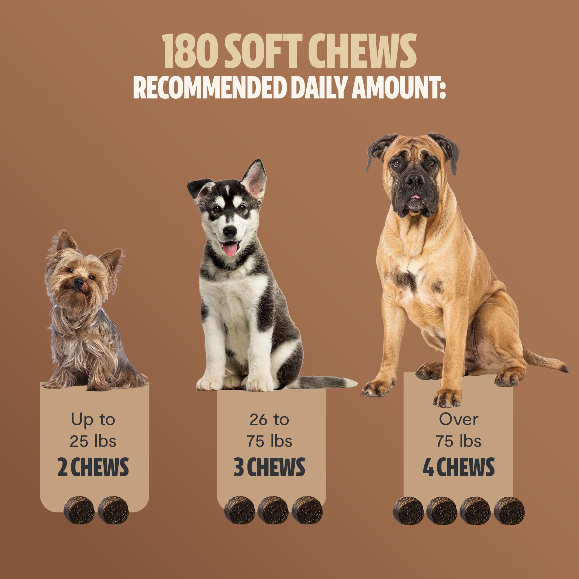 FreshCap Mushrooms Shroomies Maitake Mesima dog treats illustrating digestive balance