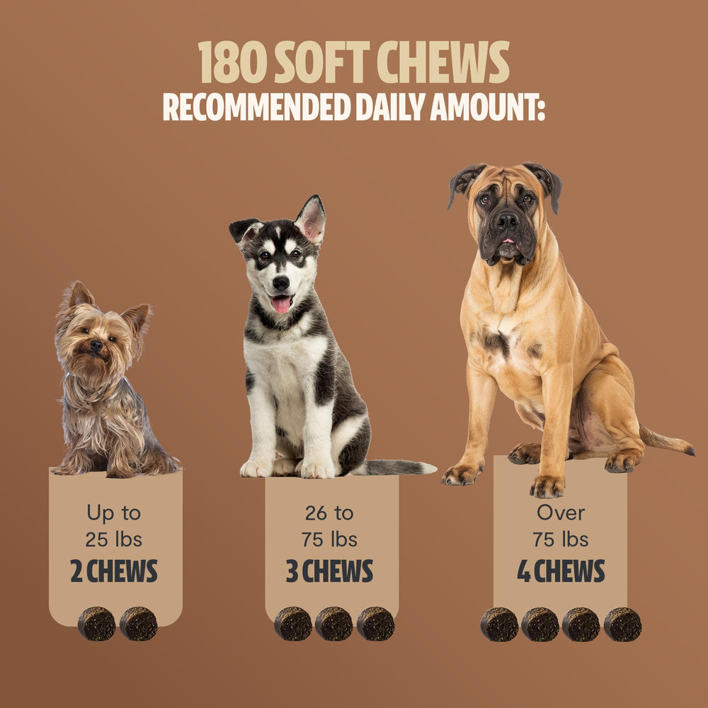FreshCap Mushrooms Shroomies Maitake Mesima dog treats illustrating digestive balance