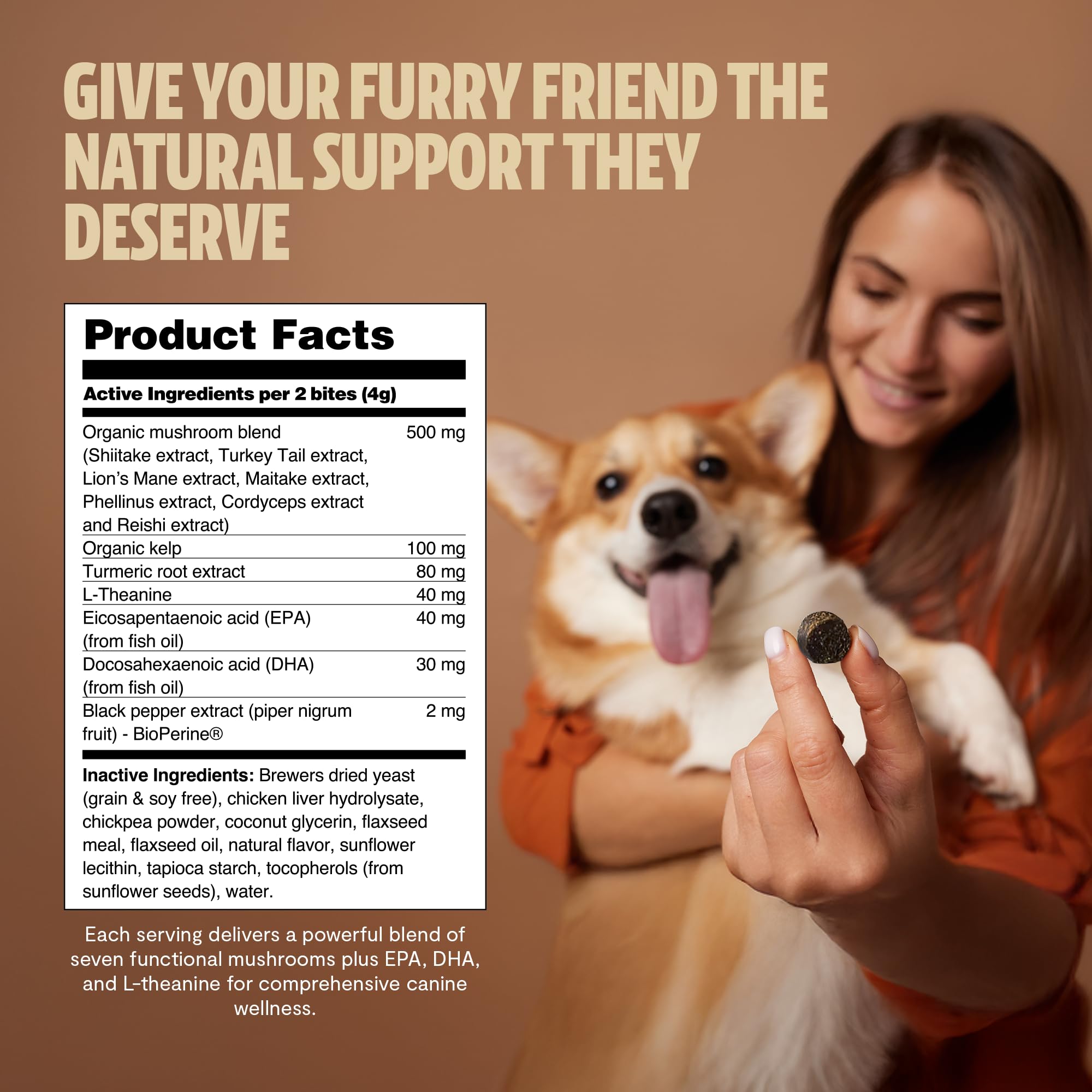 FreshCap Mushrooms Shroomies Reishi dog supplement jar highlighting joint comfort