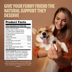 FreshCap Mushrooms Shroomies Reishi dog supplement jar highlighting joint comfort