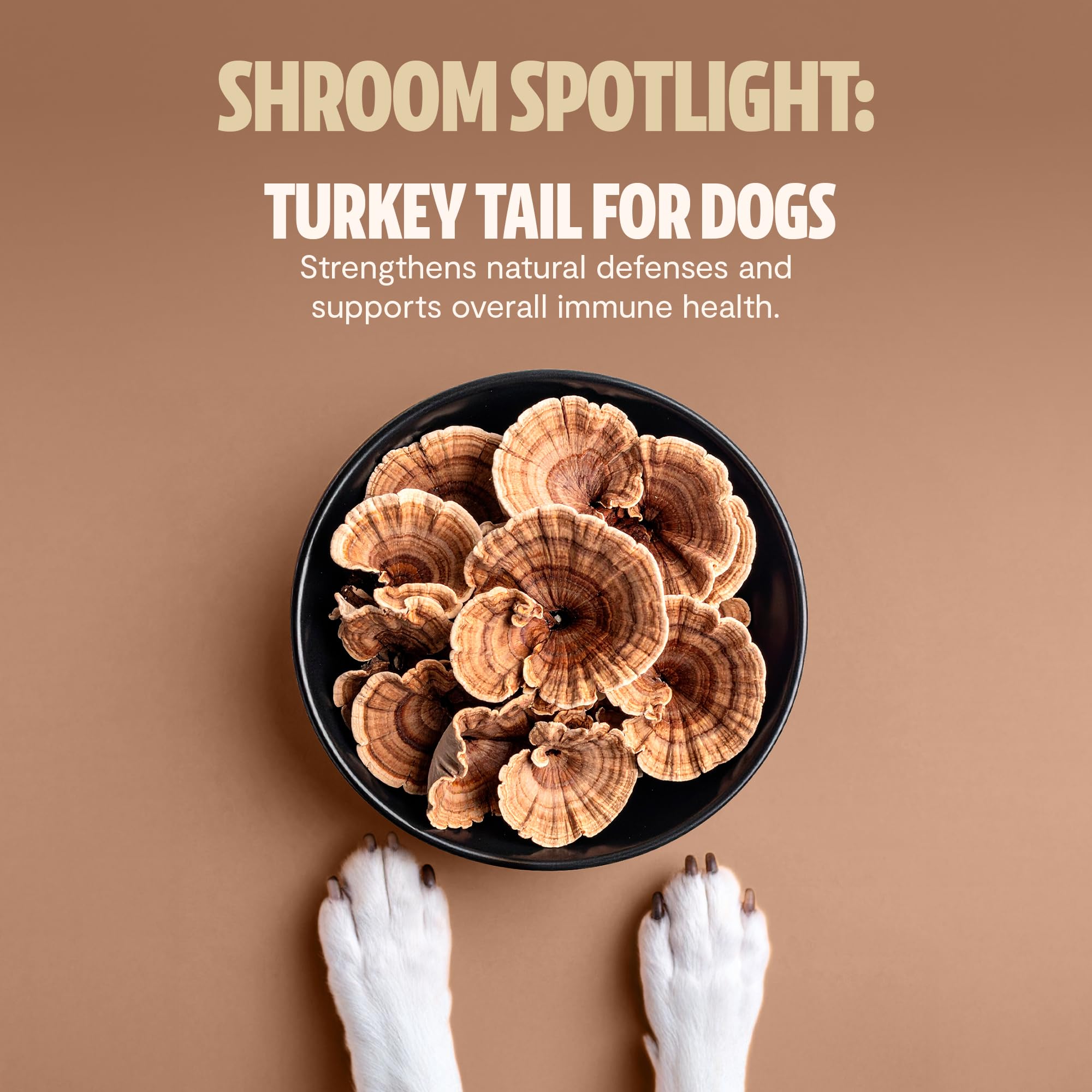 FreshCap Mushrooms Shroomies soft chews close-up for daily use