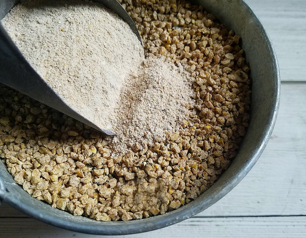Fresh Eggs Daily Brewers Yeast backyard chickens feed bowl indicates bone development support.