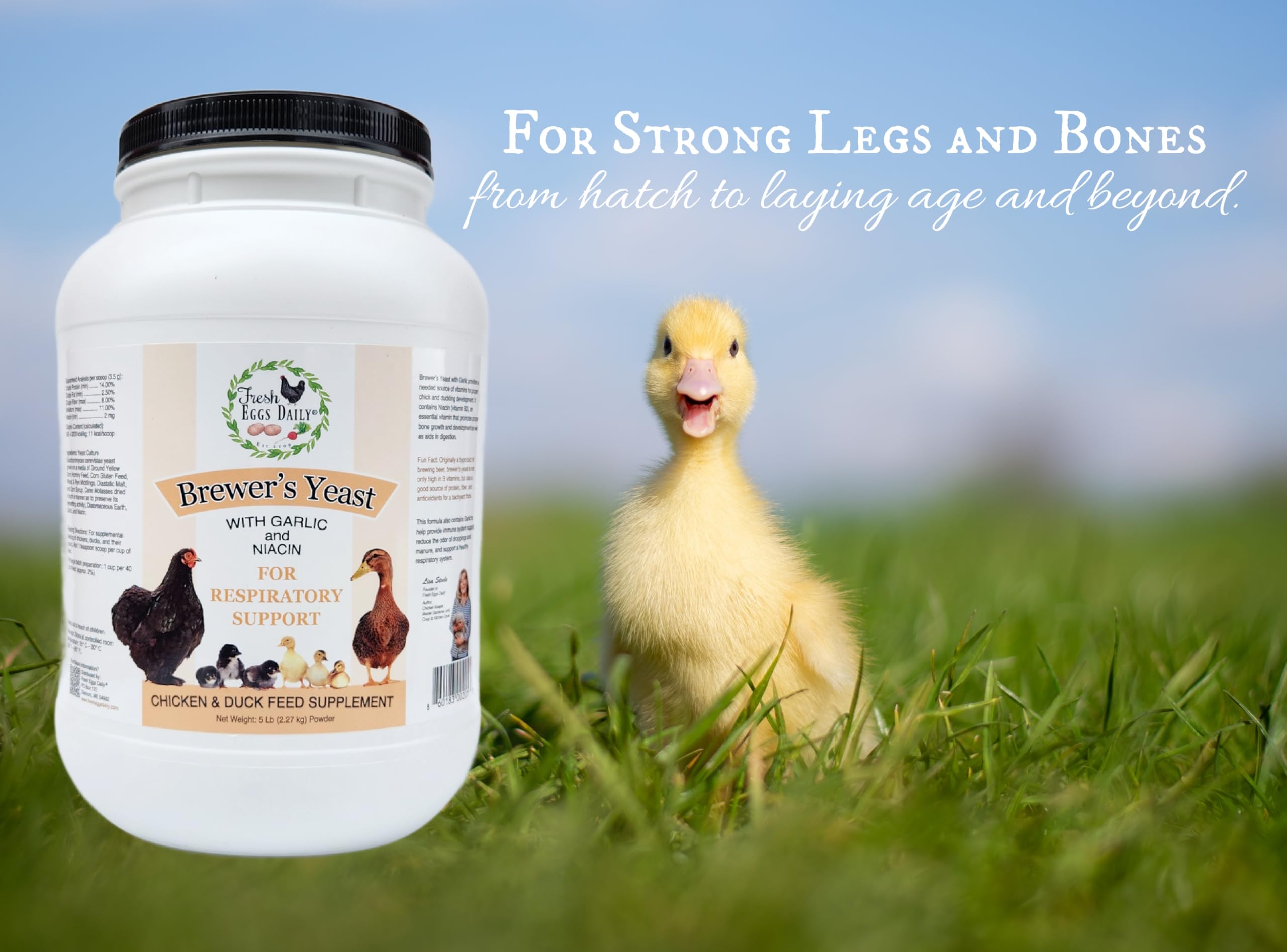Fresh Eggs Daily Brewers Yeast with garlic powder packaging ready for mixed poultry feed aiding digestion.