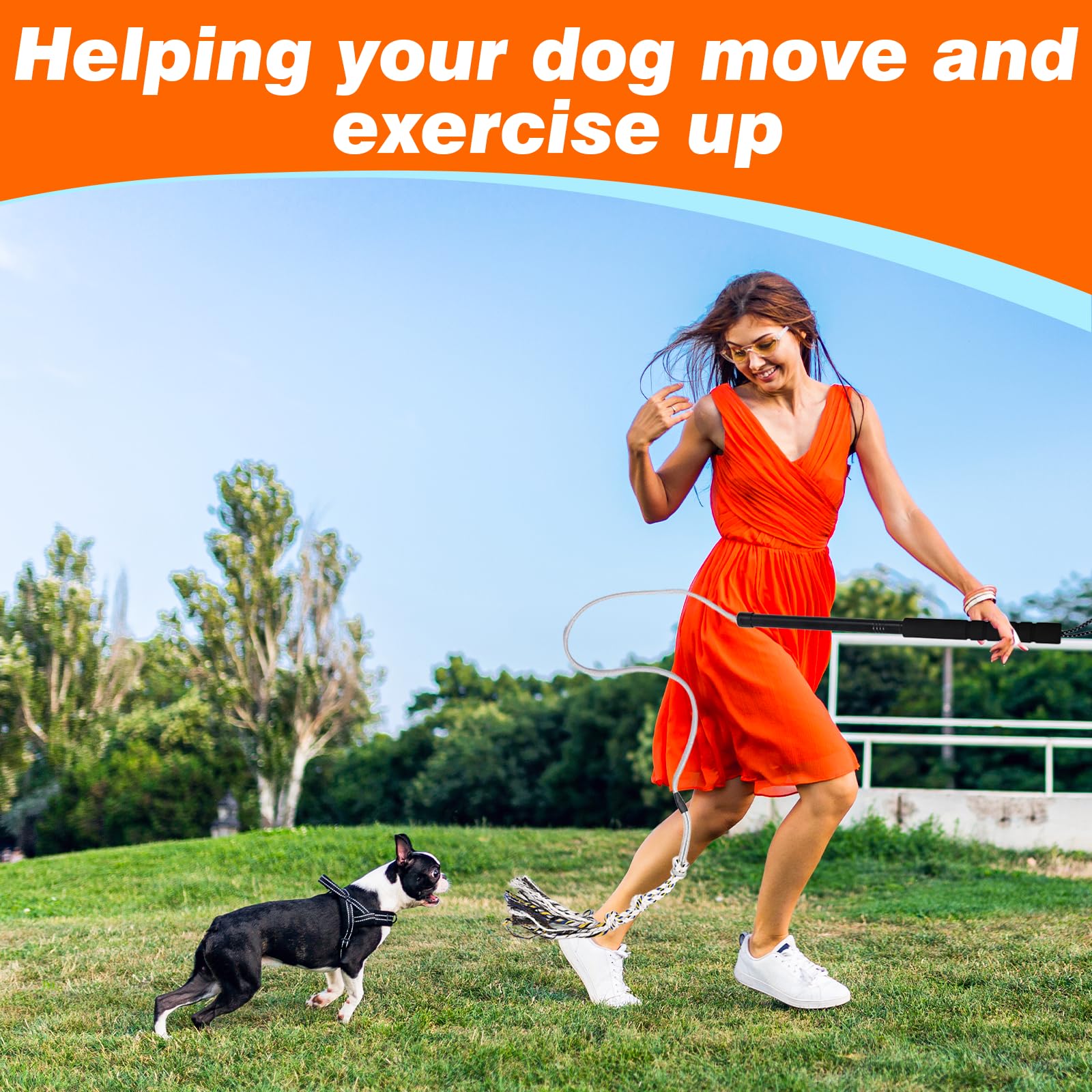 FreshFarm bonding play with flirt pole—quality time during training sessions.