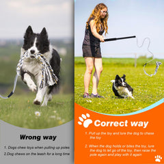 FreshFarm flirt pole small dogs–safe cotton lure during high-energy chase.