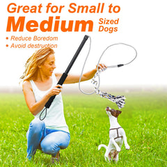 FreshFarm heavy duty dog toy—robust construction for active pups.