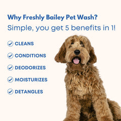 Freshly Bailey 5in1 lathering action shows rich foam for detangling and deodorizing.