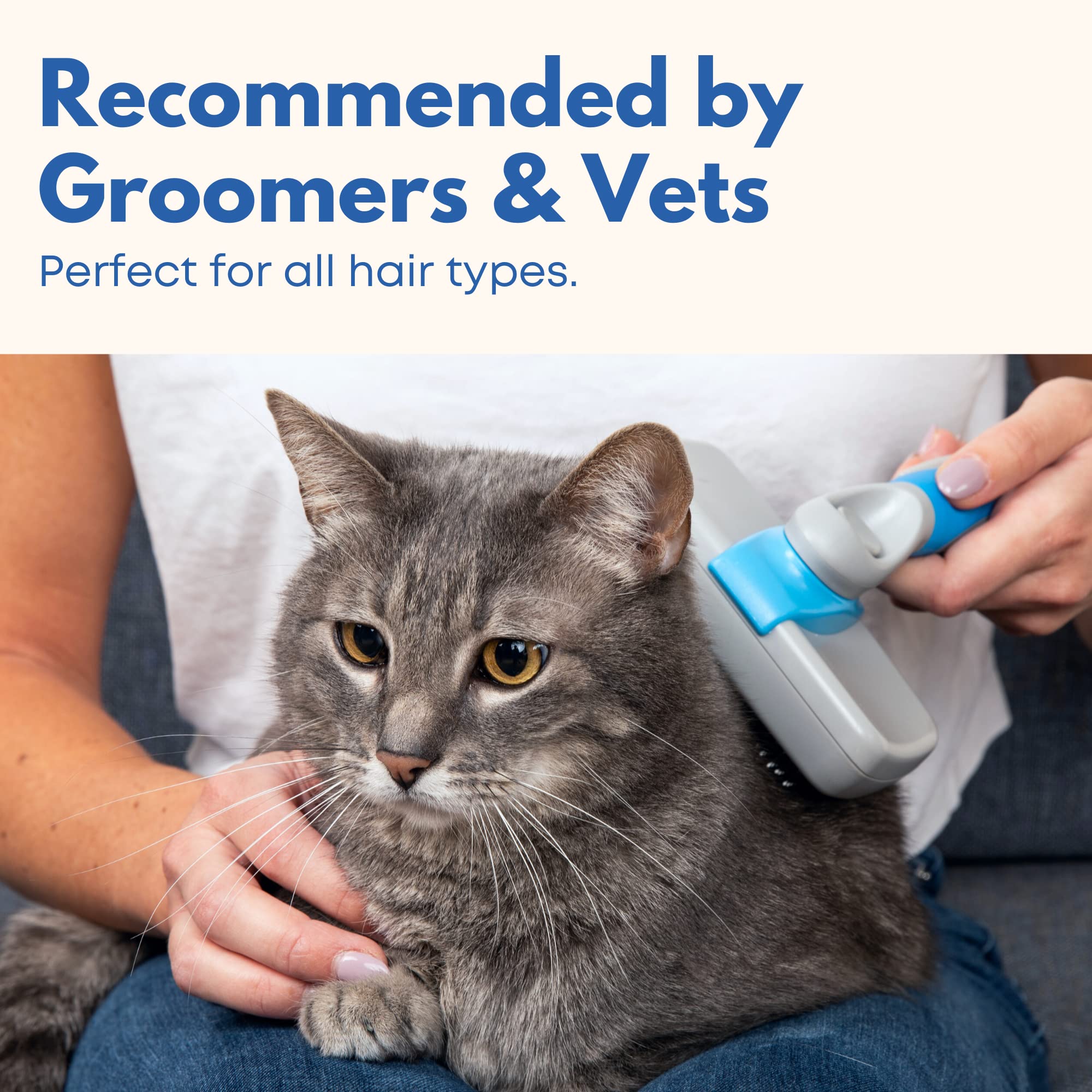 Freshly Bailey brush massage and circulation boost for a healthy shiny coat.