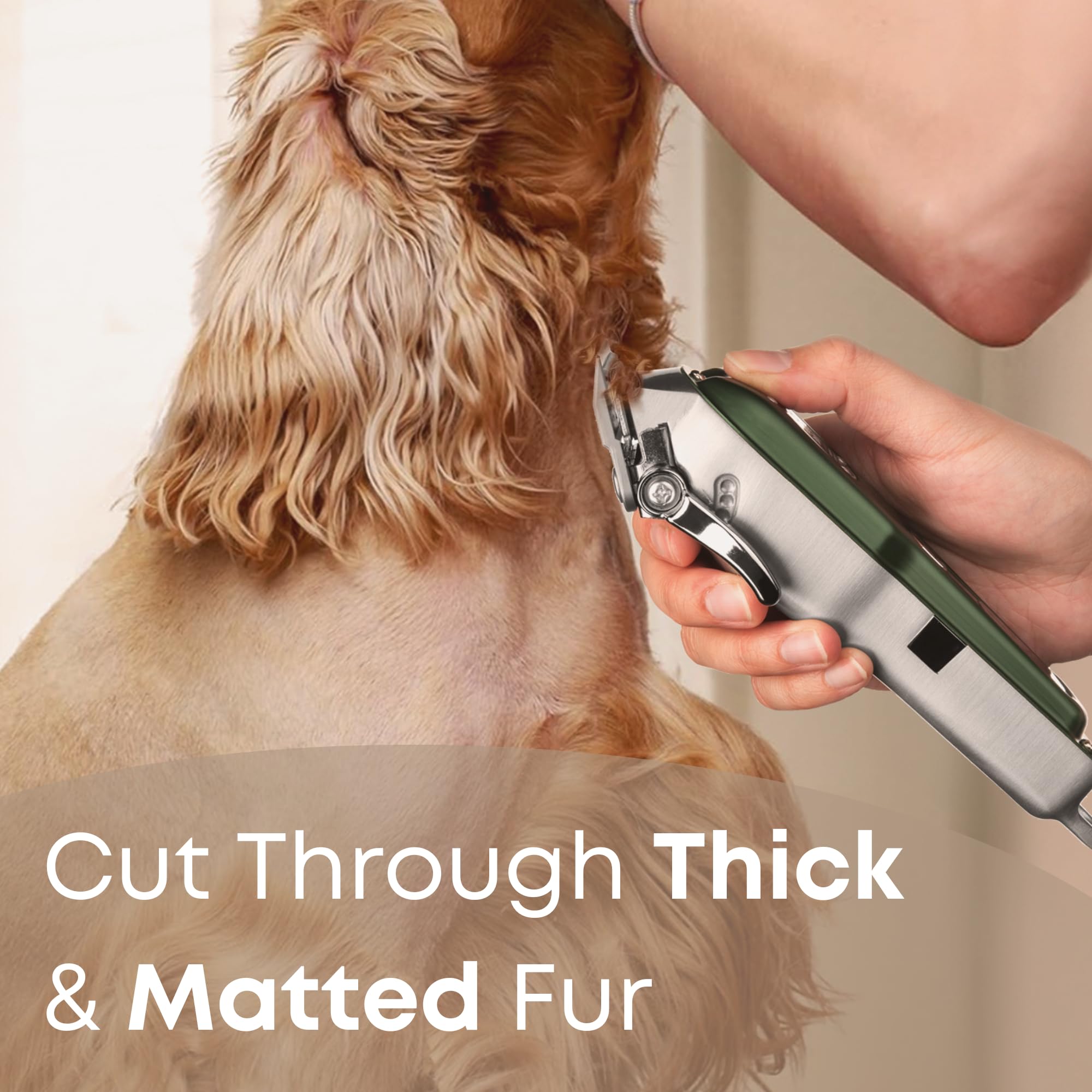 Freshly Bailey cat clippers USB charger included powering extended grooming sessions.