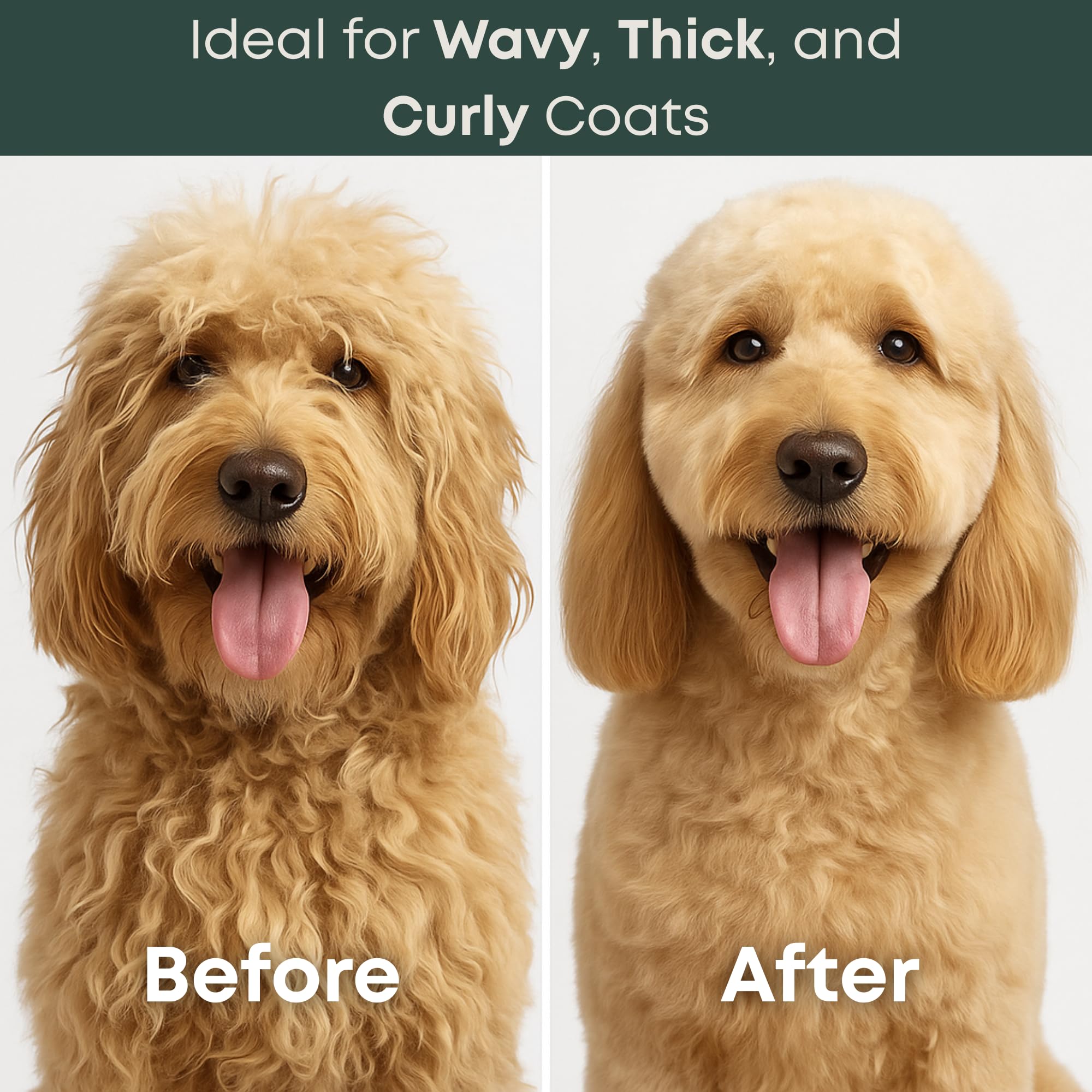 Freshly Bailey dematting tool gliding through a curly coat with minimal discomfort.