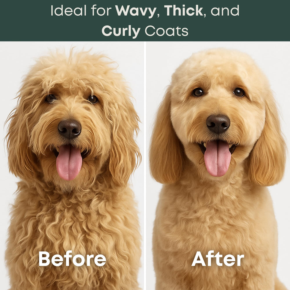 Freshly Bailey dematting tool gliding through a curly coat with minimal discomfort.