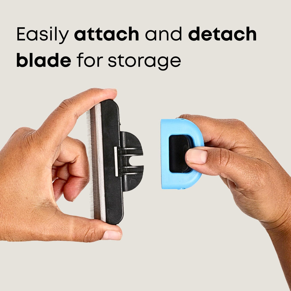 Freshly Bailey deshedding brush reduces home fur around sofas and beds.