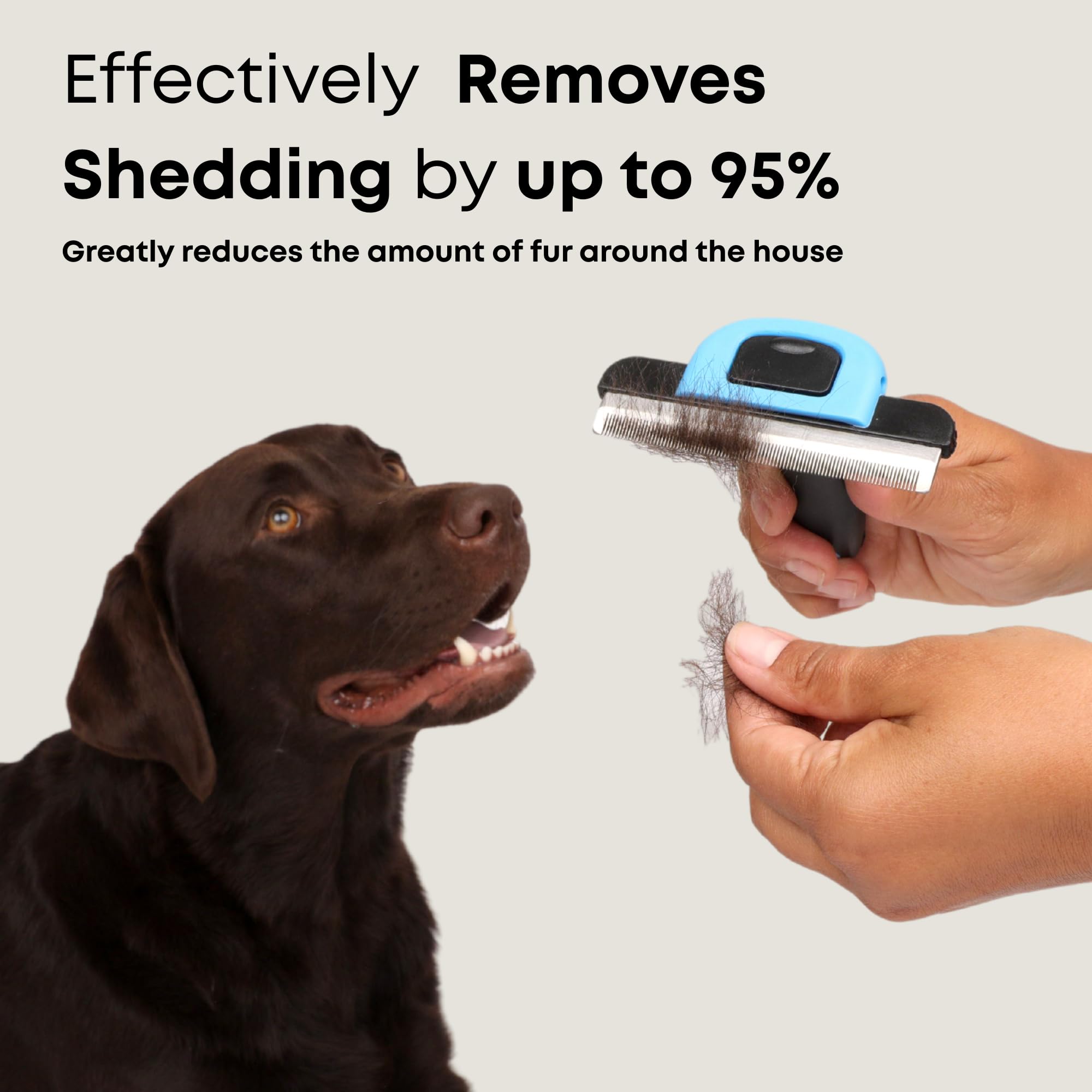 Freshly Bailey deshedding brush for short-haired cats keeps coats smooth and odors down.