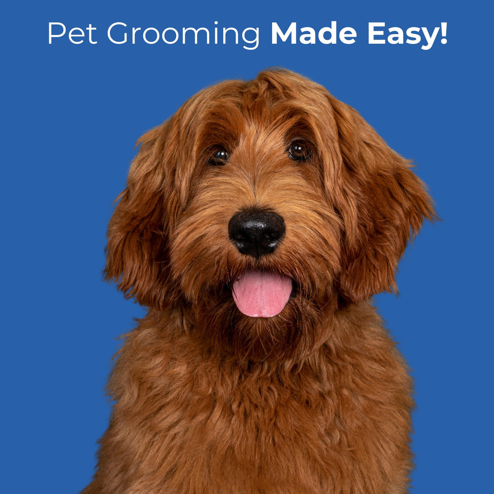 Freshly Bailey dog-cat trimming-kit supports home grooming with a professional-grade toolset.