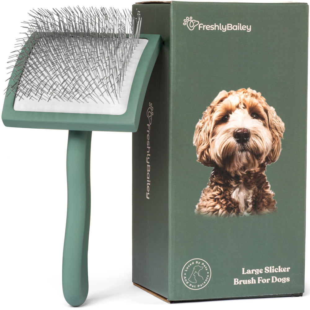 Freshly Bailey Doodle Brush close-up of bristles for effective detangling.